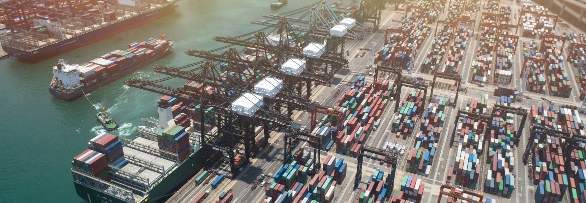 Supply Chain